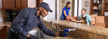 Professional Pest control in Santa Maria, CA